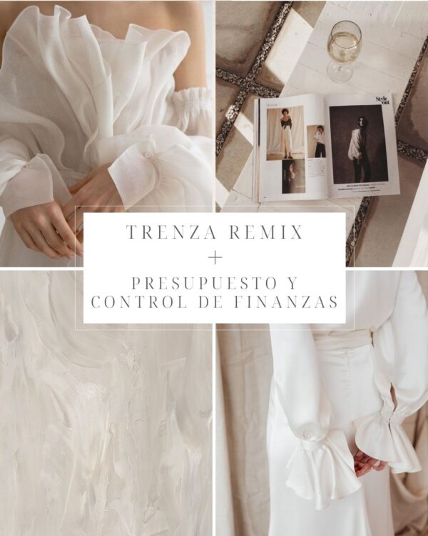 Trenza Remix + Presupuesto y control de finanzas 2024